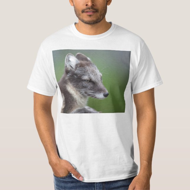 Arctic Fox T-Shirt (Front)