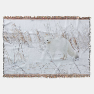 Arctic Fox Throw Blanket
