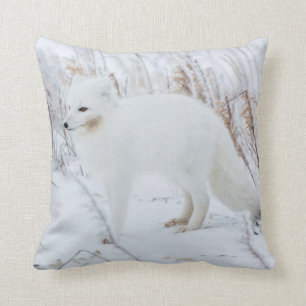 Arctic Fox Throw Pillow