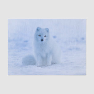 arctic fox tissue paper