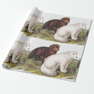 Arctic Fox (Vulpes lagopus) Illustration Wrapping Paper