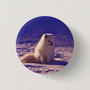 Arctic Fox Winter Snow Landscape 1 Inch Round Button