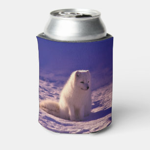 Arctic Fox Winter Snow Landscape Can Cooler