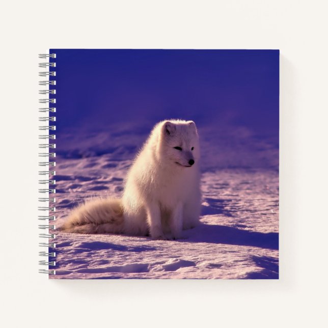 Arctic Fox Winter Snow Landscape Notebook (Front)