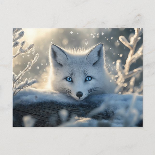 Arctic Fox with Mesmerizing Blue Eyes  Holiday Postcard (Front)