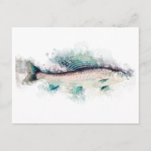 Arctic grayling (Thymallus arcticus) Salmon Art Postcard