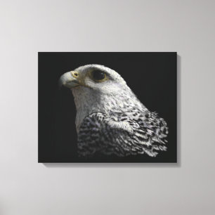 Arctic Gyrfalcon Portrait Painting Canvas Print