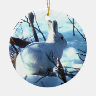 Arctic Hare in Snow Ceramic Ornament