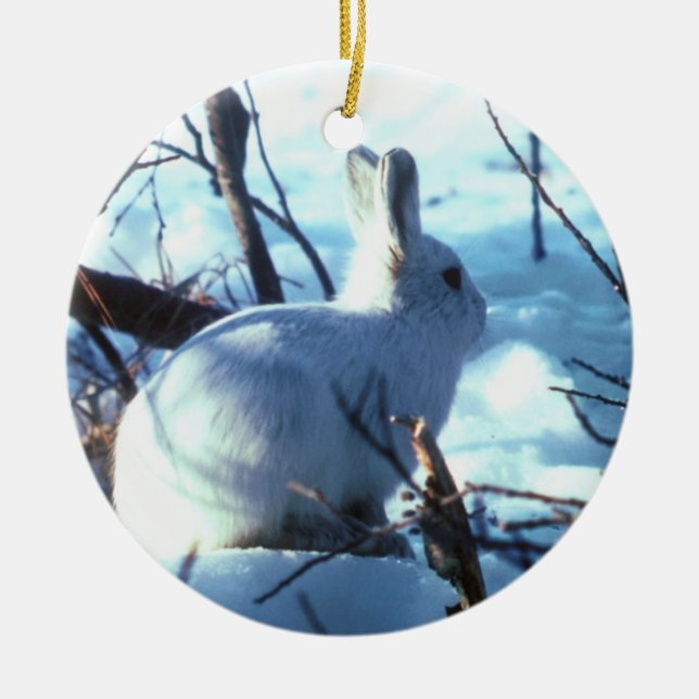 Arctic Hare in Snow Ceramic Ornament (Front)