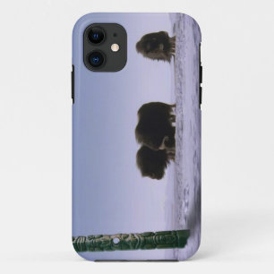 Arctic Musk Oxen & Totems Bovine Wildlife Art iPhone 11 Case