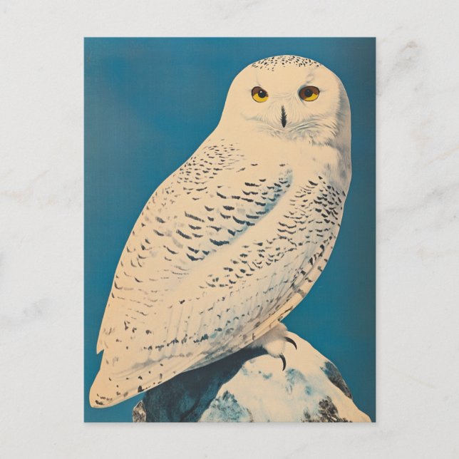 Arctic owl vintage postcard (Front)