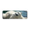 Arctic Polar Bear Return Address Label