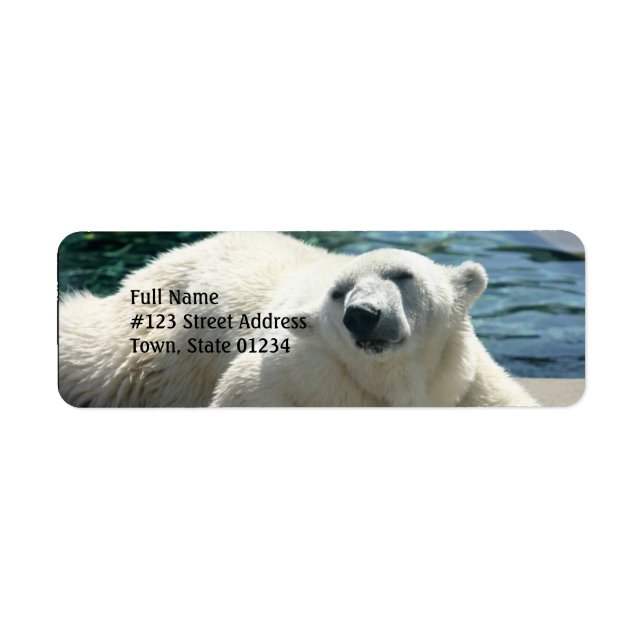 Arctic Polar Bear Return Address Label (Front)