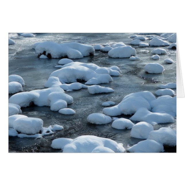 Arctic Scene (Front Horizontal)