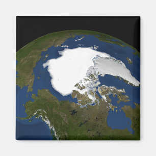 Arctic sea ice in 2005 magnet