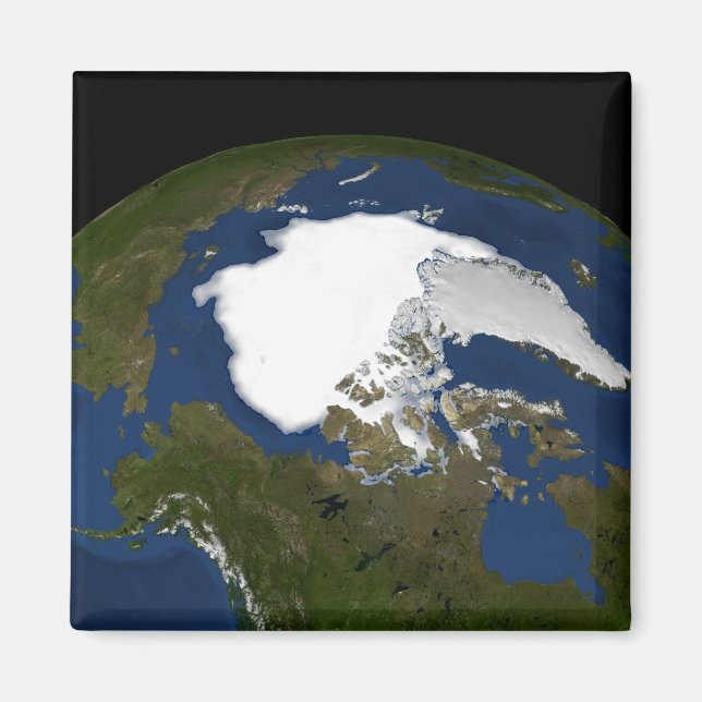 Arctic sea ice in 2005 magnet (Front)