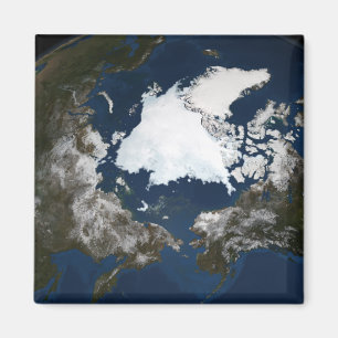 Arctic sea ice magnet