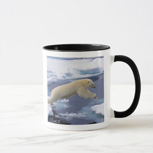 Arctic, Svalbard, Polar Bear extending Mug (Right)