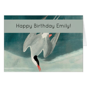 Arctic Tern Audubon Bird Wildlife Painting