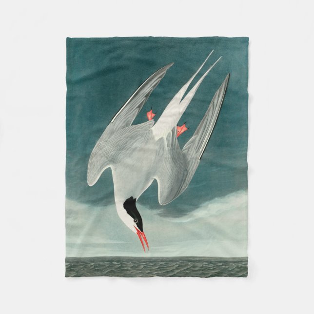 Arctic Tern Audubon Bird Wildlife Painting Fleece Blanket (Front)