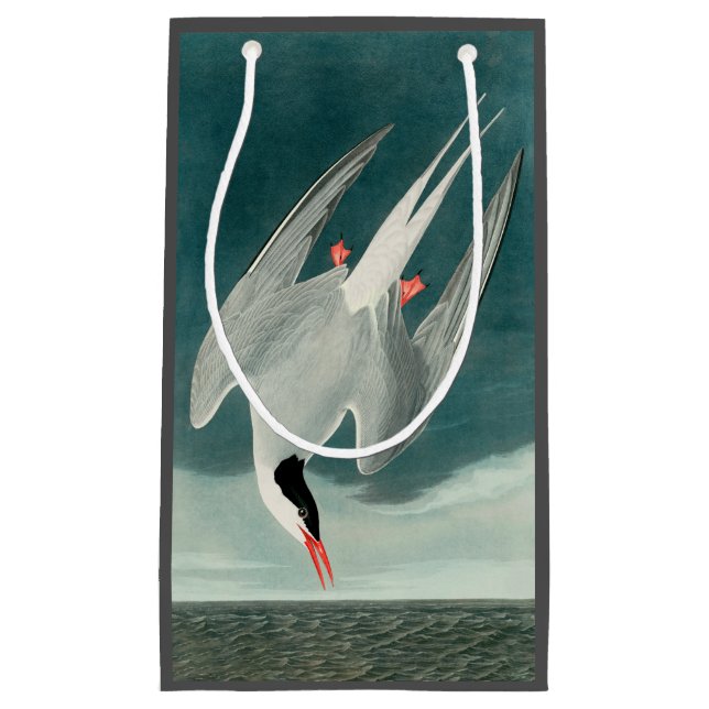 Arctic Tern Audubon Bird Wildlife Painting Small Gift Bag (Front)