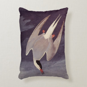 Arctic Tern by John James Audubon, Vintage Birds Accent Pillow