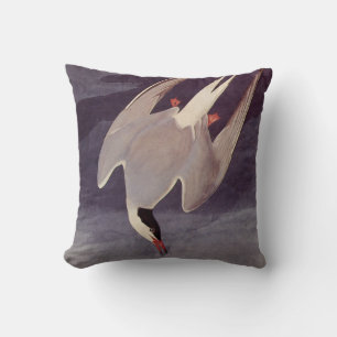 Arctic Tern by John James Audubon, Vintage Birds Throw Pillow