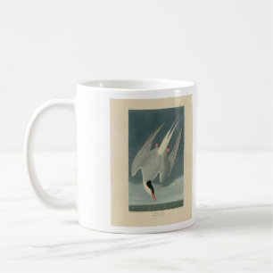 Arctic Tern from Audubon's Birds of America Coffee Mug