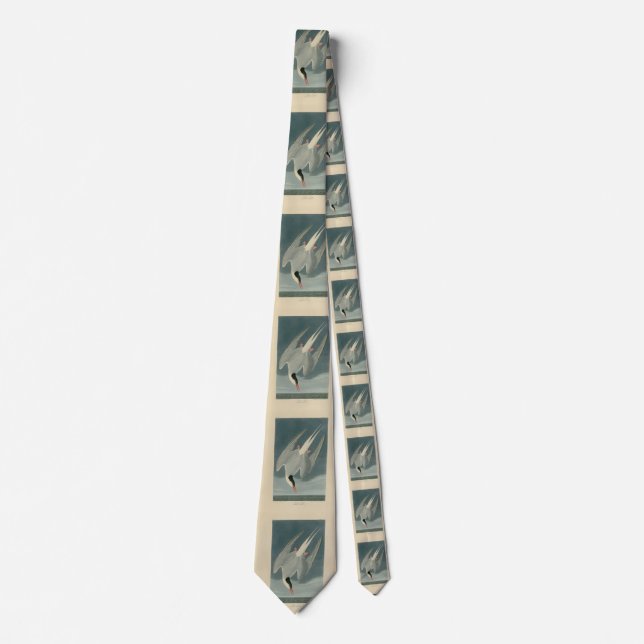 Arctic Tern from Audubon's Birds of America Tie (Front)