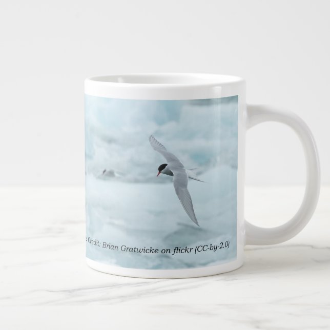 Arctic Terns 20 oz. Mug by RoseWrites (Right)
