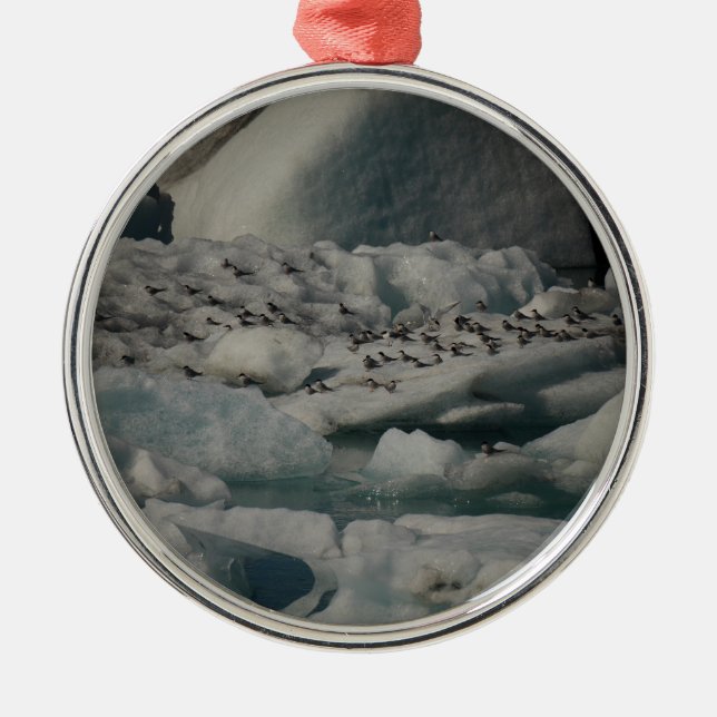 Arctic Terns Jokulsarlon Iceland Ornament (Front)