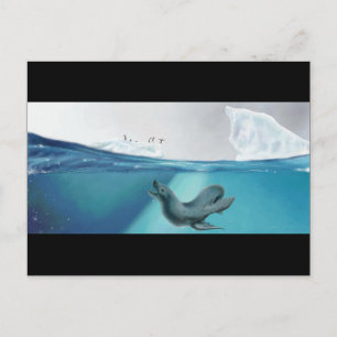 Arctic Viewpoint Postcard