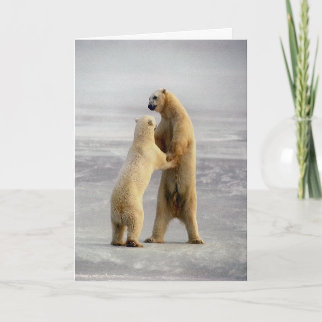 Arctic Waltz Card (Front)