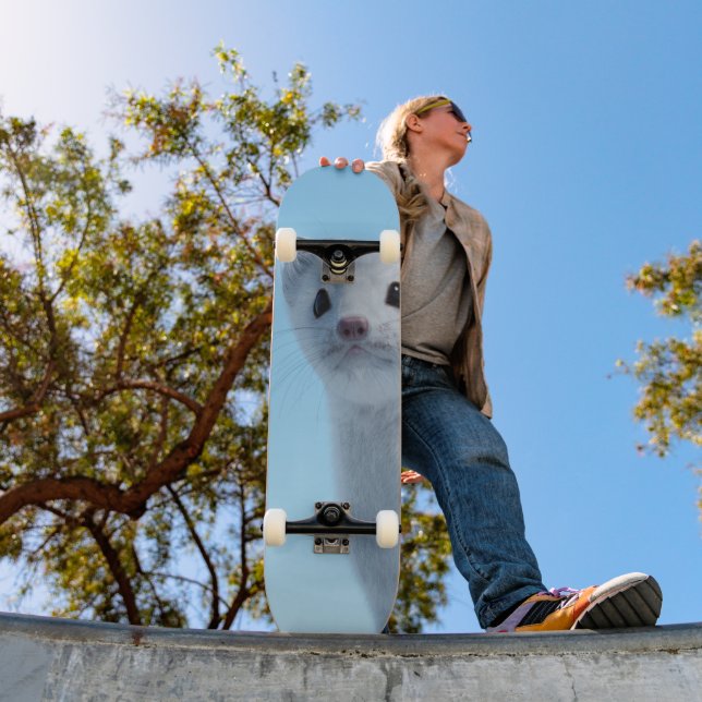 Arctic Weasel Charm Skateboard (Outdoor 1)