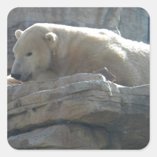 Arctic Wildlife Sticker
