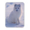Arctic Winter Fox Photo Designed
