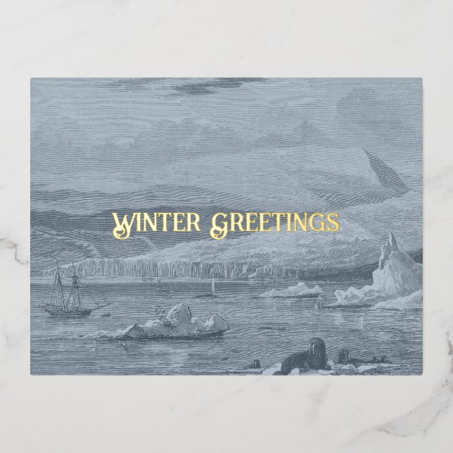 Arctic Winter Greeting Card (Front)