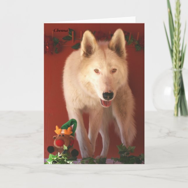 Arctic Wolf Christmas Card (Front)