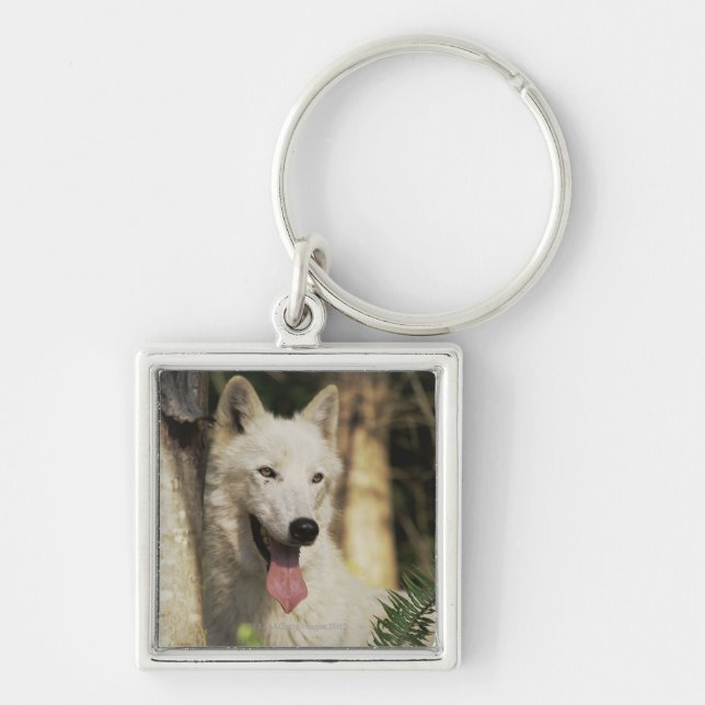Arctic wolf in forest keychain (Front)
