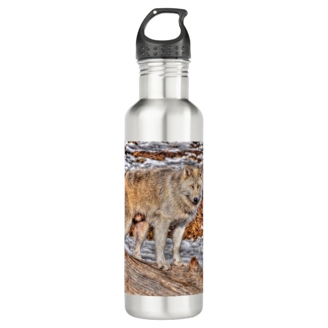 Arctic Wolf in Winter Forest Wildlife Photo 710 Ml Water Bottle (Front)