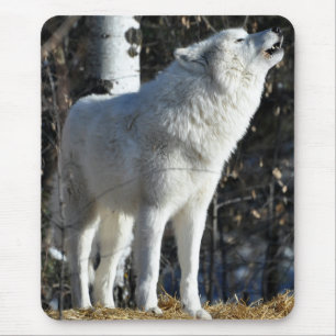 Arctic Wolf Mouse Pad