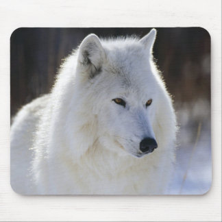 Arctic Wolf Mouse Pad