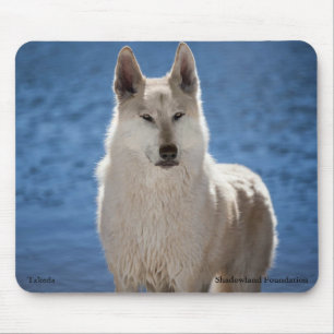 Arctic Wolf Mouse Pad