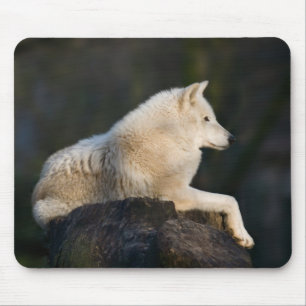Arctic Wolf Mousepad