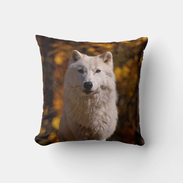 Arctic Wolf On Rock  Throw Pillow (Front)