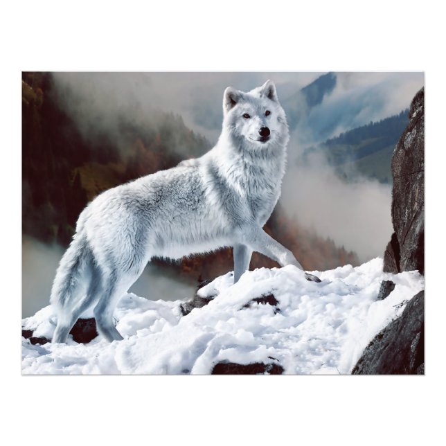 Arctic Wolf Photo Print (Front)
