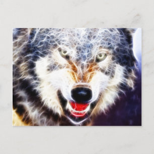 Arctic Wolf Postcard