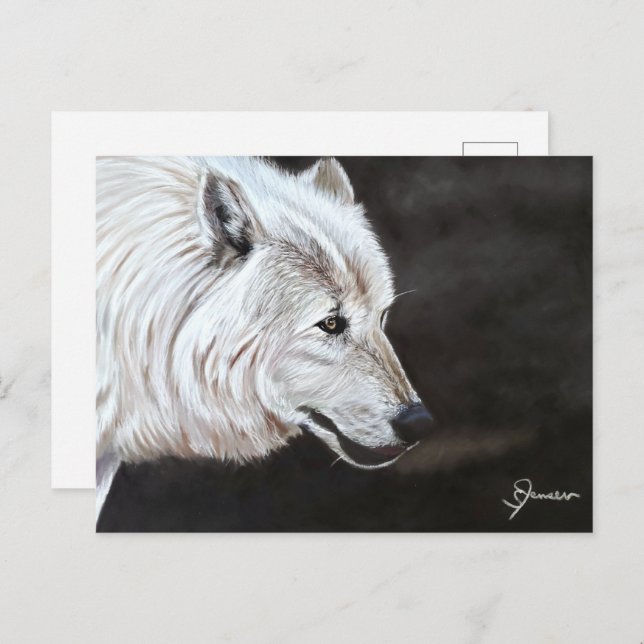 Arctic Wolf Postcard Print  (Front/Back)