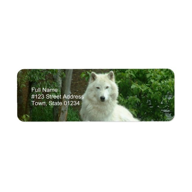 Arctic Wolf Return Address Label (Front)