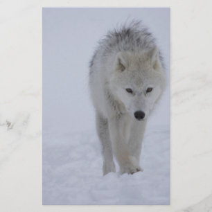 Arctic wolf stationery
